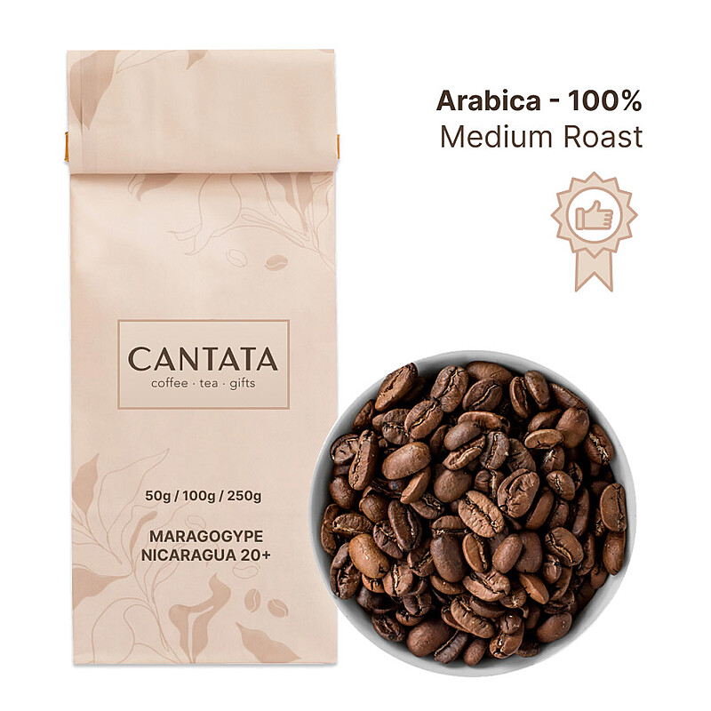 Maragogype Nicaragua 20+ Coffee